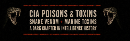 Group cover image
